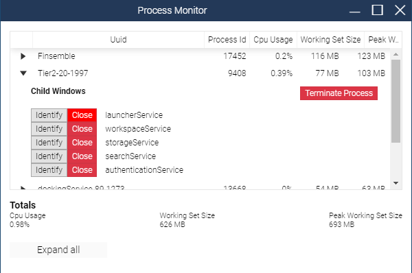 The Process Monitor